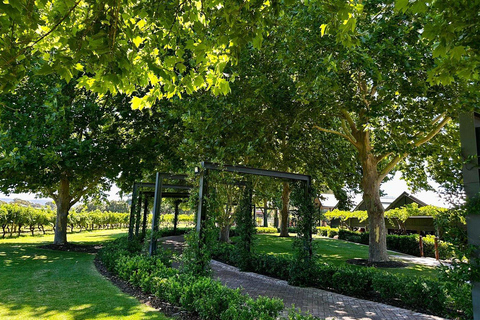 Private Swan Valley Wine Tour | Boutique Wineries