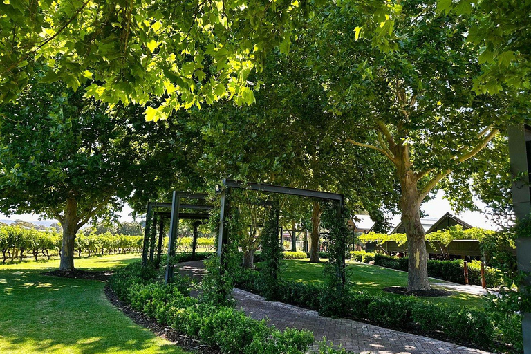 Private Swan Valley Wine Tour | Boutique Wineries