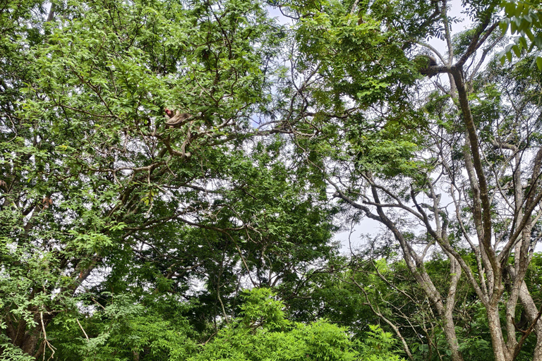 From Bengaluru: Devarayana Durga Guided Day Trip