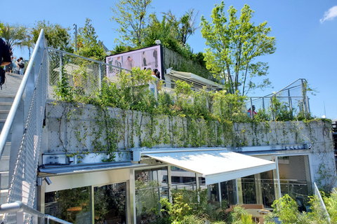 Tokyo : Projet de toilettes et visite des merveilles architecturales