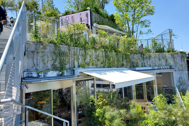 Tokio: Toiletproject en architecturale wonderen