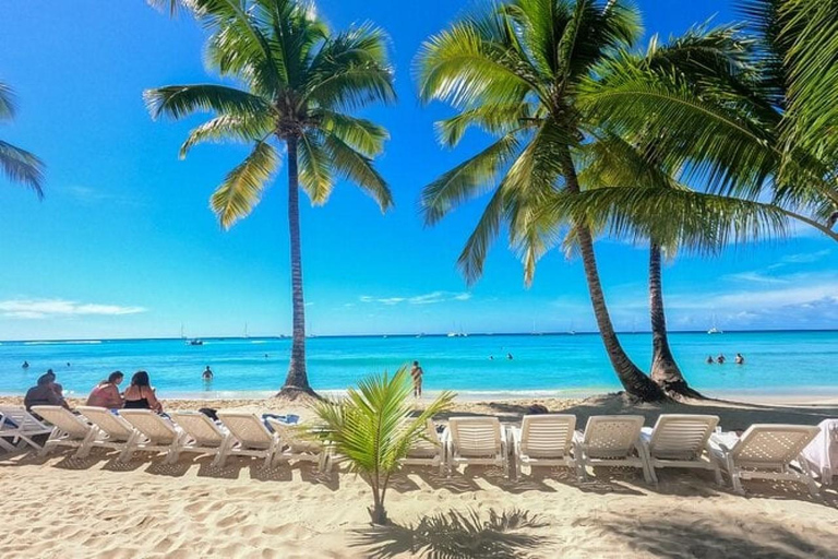 Saona Island: Catamaran tour to a Dream Beach, all inclusive Tour with pickup from Santo Domingo included