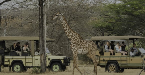 3 Days Flight Package Zanzibar to Nyerere/Selous