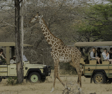 3 Days Flight Package Zanzibar to Nyerere/Selous