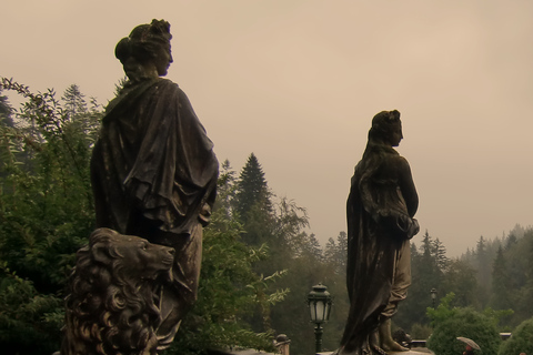Bucharest: Peles, Bran, & Cantacuzino Castle Day Trip