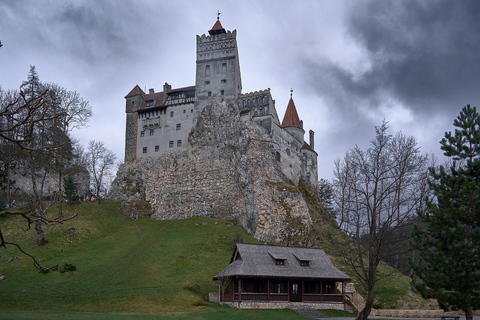 Bucharest Private: Peleș Castle, Bran Castle, Brașov Tour