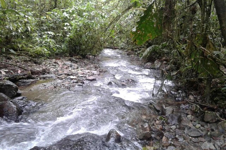 Medellin: Amazing Arvi Natural Reserve