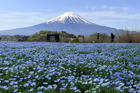Tokyo: Mt. Fuji & Hakone Private Day Trip with Guide