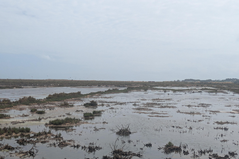 Guided buggy Passenger tour Alvor Ria wetlands