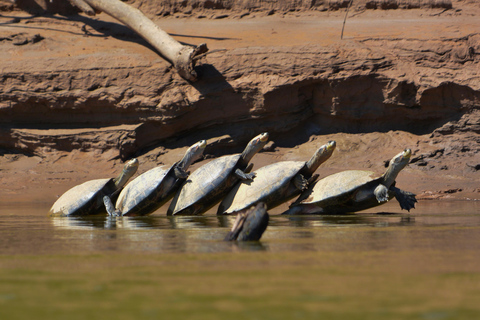 Amazon Wildlife Tour from Cusco–6 Days in the Reserved Zone.