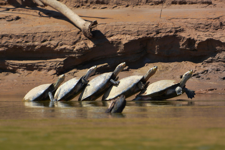 Amazon Wildlife Tour from Cusco–6 Days in the Reserved Zone.