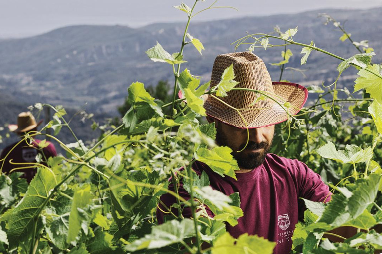 &quot;Desfrute de um passeio exclusivo de degustação de vinhos durante todo o dia em Nemea&quot;