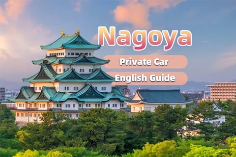 Tour privato con guida esperta in inglese del castello di Nagoya