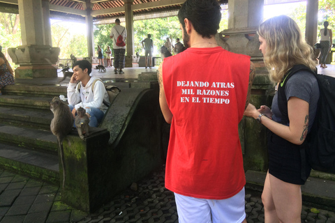 Ubud: foresta delle scimmie, terrazzamenti di riso e cascata