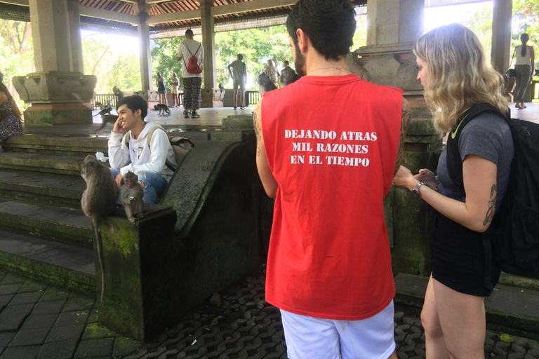 Ubud: foresta delle scimmie, terrazzamenti di riso e cascata