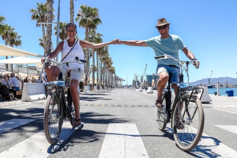 Malaga Bike Tour - Old Town, Marina & Beach Bike Tour in Dutch