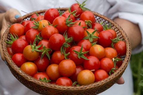 Chicago: Faz massa fresca com a Chef Janet