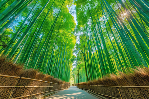 Kyoto & Nara: Cute Deer & Bamboo Forests from Osaka Kyoto and Nara: Day Trip from Osaka