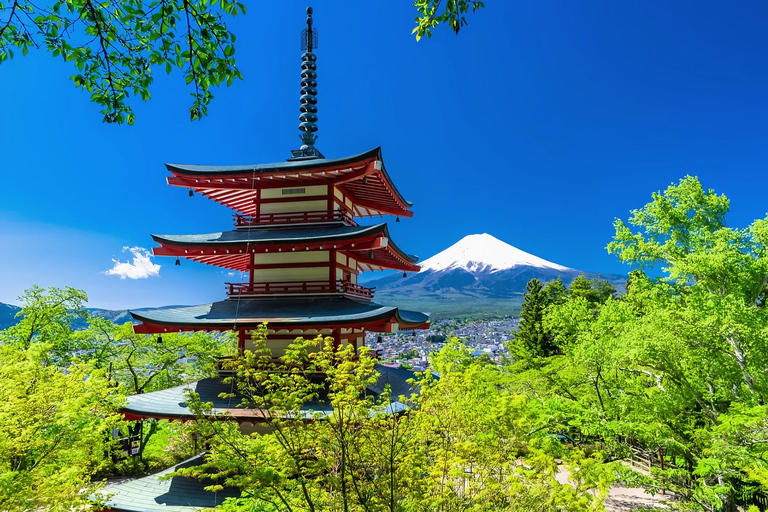 Mount Fuji Day Tour: Instagrammable Spots + Scenic Train From Tokyo (Including ropeway and cruise)