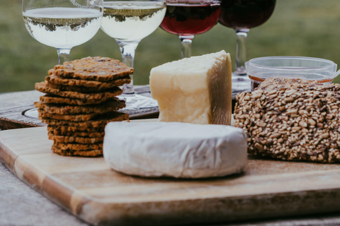 Valle del Cigno: Degustazione di vini con pranzo nel pomeriggioPomeriggio indulgente nella Valle del Cigno