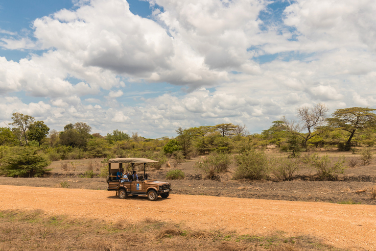 From Zanzibar: 2-Day Selous Safari with Flights & Lodge Stay 2-Day Selous Safari - Without Transfer