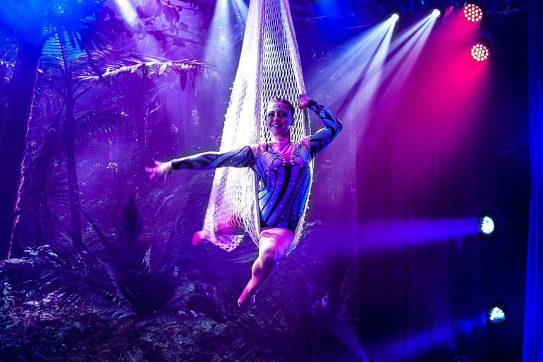 Ciudad de Panamá: espectáculo en Emotions Dinner con 50 $ de crédito incluidoCiudad de Panamá: cena con espectáculo en Emotions (50 $ de crédito incluidos)