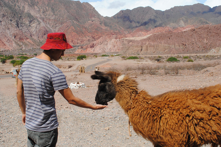 VALLEYS COMBO: CACHI AND CAFAYATE