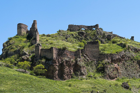 From Tbilisi to Vardzia, Rabati, Borjomi, and Tmogvi Tour