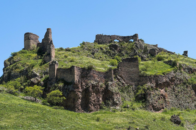 From Tbilisi to Vardzia, Rabati, Borjomi, and Tmogvi Tour