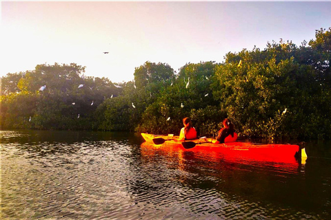 Cartagena: Kajaktur med guide och havsutsikt