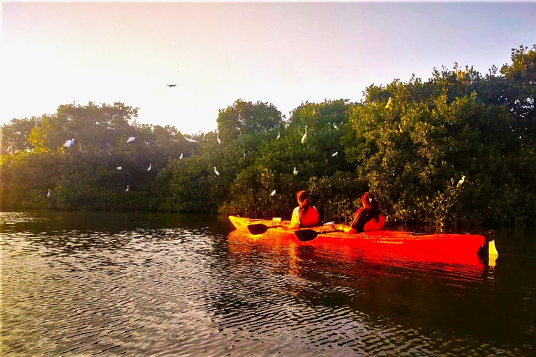 Cartagena: Kajaktur med guide och havsutsikt