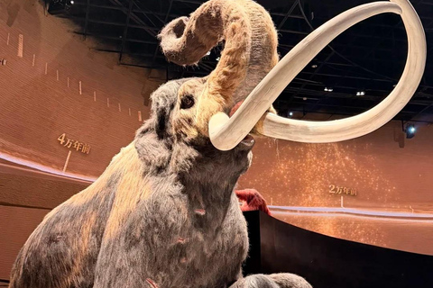 Shenzhen: Natural History Museum Landmark Priority Pass
