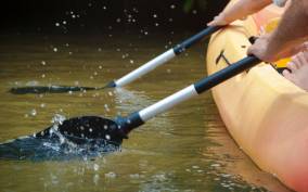 Caroni Bird Sanctuary: Wetlands Kayaking