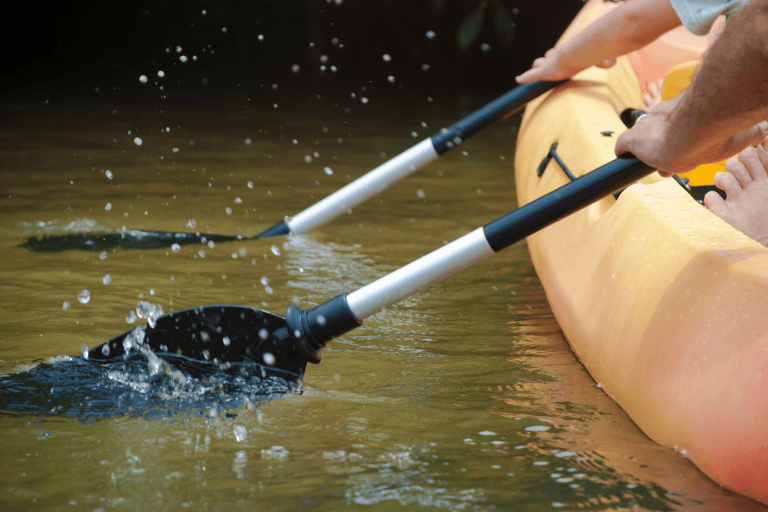 Santuario de Aves Caroni: Kayak en los Humedales