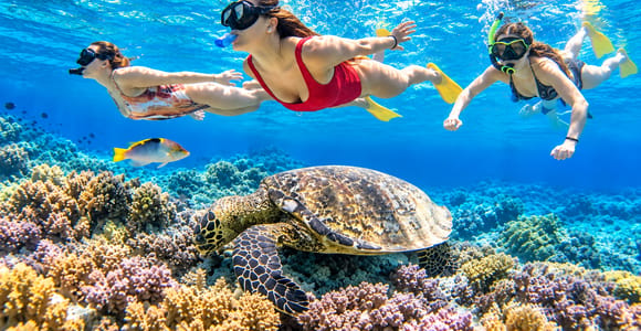 Gili Air Snorkeling with Sea Turtles, Statue & GoPro Camera