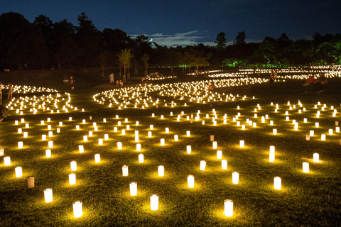 Nara: Guided Walking Tour with Tea Ceremony & Calligraphy