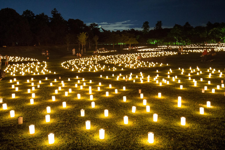 Nara: Guided Walking Tour with Tea Ceremony & Calligraphy