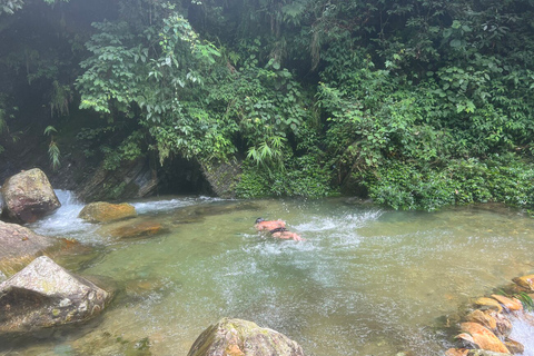 Pokhara: pacchetto di esperienze di nuoto nel fiume naturale dell&#039;Himalaya