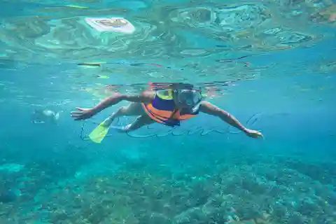 Nusa Lembongan: Snorkeling con le mante