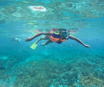 Nusa Lembongan: Snorkelen met Mantaroggen