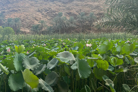 Muscat: Wadi Shab Hike and Bimmah Sinkhole Tour with Lunch Muscat: Wadi Shab Hike and Bimmah Sinkhole Tour with Lunch