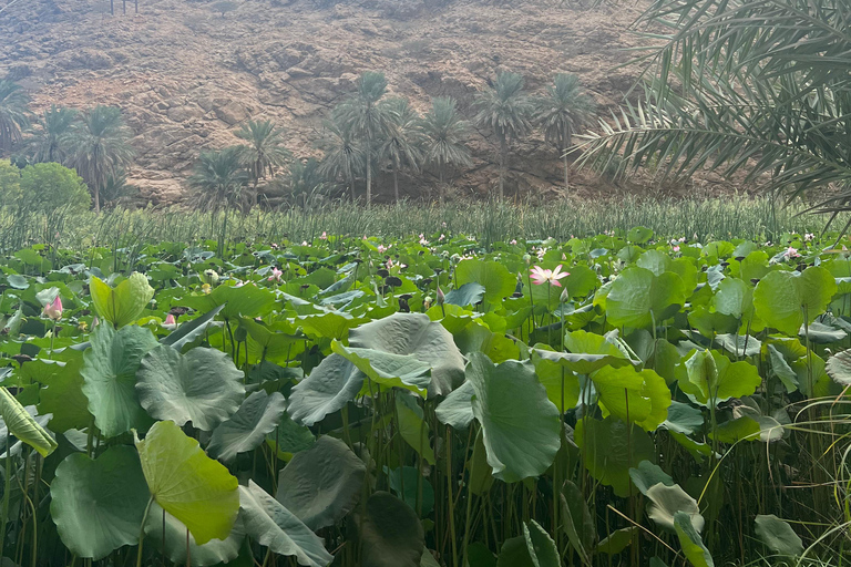 Muscat: Wadi Shab Hike and Bimmah Sinkhole Tour with Lunch Muscat: Wadi Shab Hike and Bimmah Sinkhole Tour with Lunch