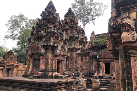 Angkor Wat, Bayon, Ta Prom and Banteay Srey Sunrise Tour