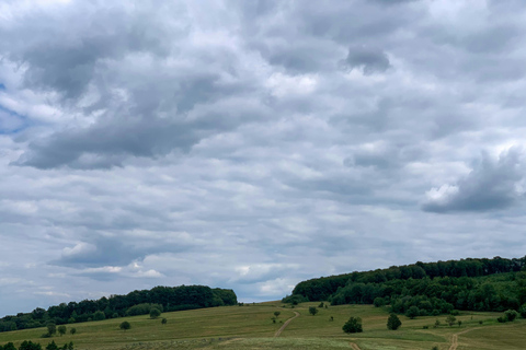 Dragør: Amager Fælled Scenic Horseback Riding Tour