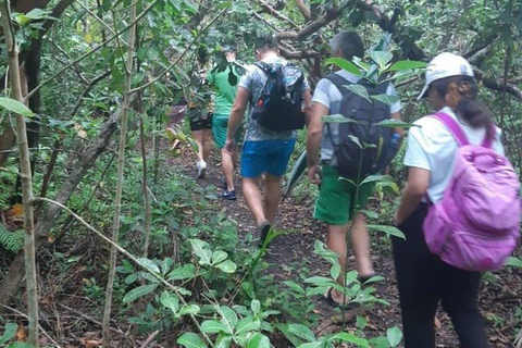 Zanzibar: Masingini Forest Hike and Herbal Healing Tour