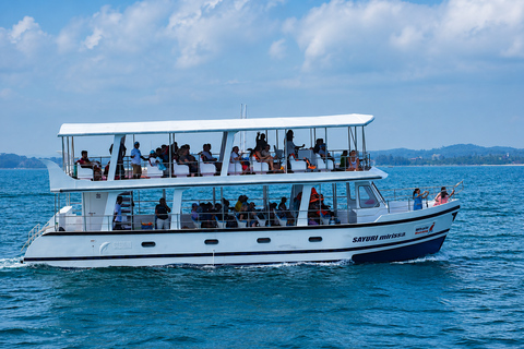 Mirissa: Blue Whale & Dolphin Watching Adventure with food WITH Entry Ticket (Tour Entry Ticket INCLUDED)