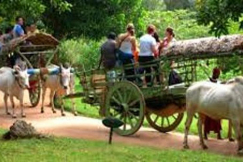From Anuradhapura To Sigiriya Transfer with Sightseeing Stop