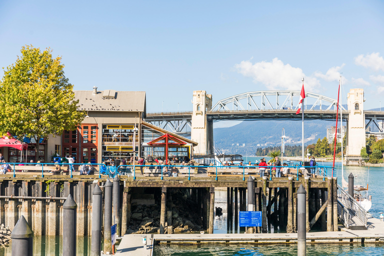 Vancouver: Stadens höjdpunkter &amp; The LookoutVancouver: City Highlights Tour &amp; The Lookout