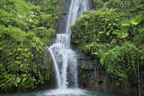 Bali: Hidden And New Secret Waterfalls All Including