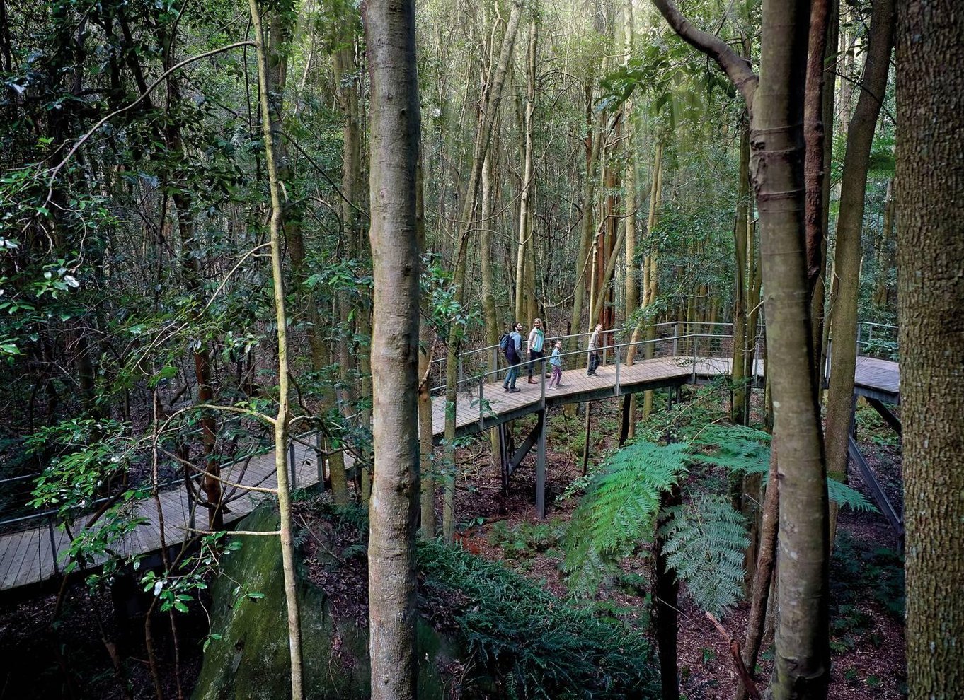 Sydney: Blue Mountains National Park Tour med flodkrydstogt